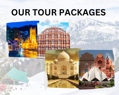 Service Provider of Tour Packages in New Delhi, Delhi, India.